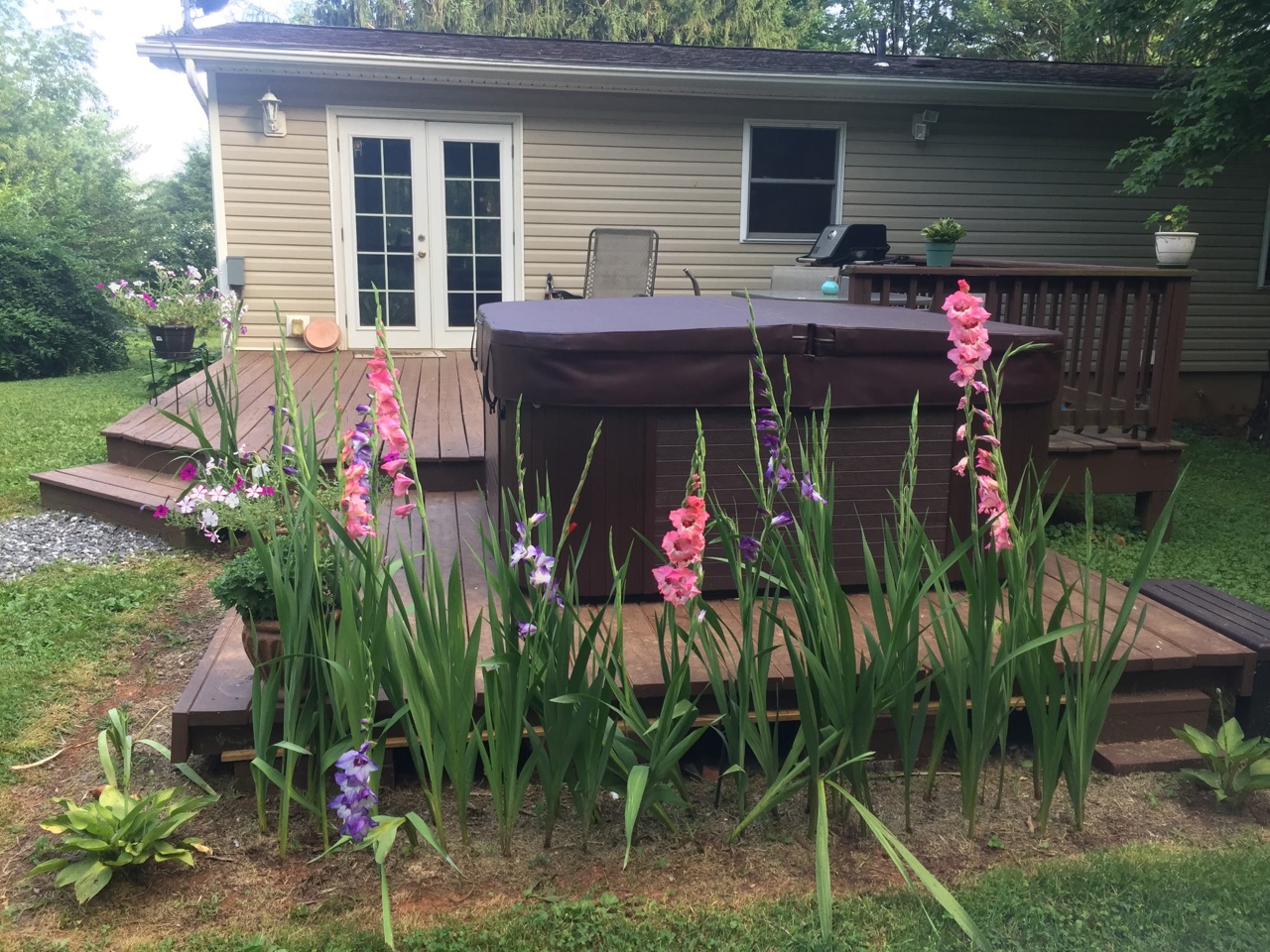 498 Newtown Road — rear deck, before